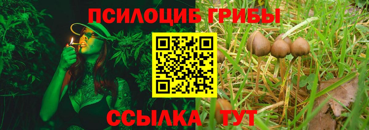 Галлюциногенные грибы мицелий Новоалтайск