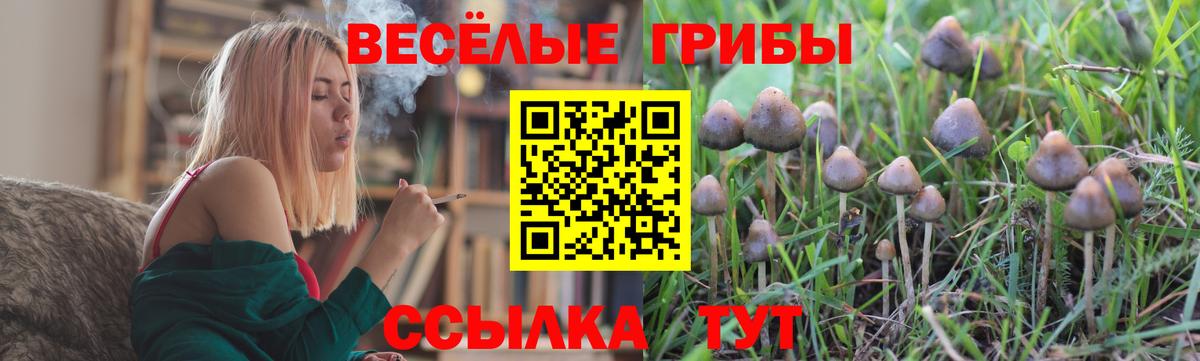 Новоалтайск  Галлюциногенные грибы Psilocybine cubensis  Вход с VPN 