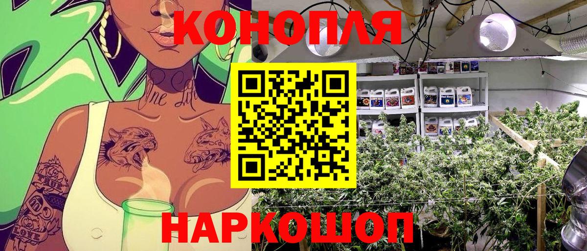 МАРИХУАНА тримм  МАРИХУАНА тримм  Вход с VPN  Шишки марихуана сатива  Каннабис THC 21%  Новоалтайск 